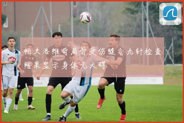 帕夫洛维奇眉骨受伤缝合九针检查结果显示身体无大碍