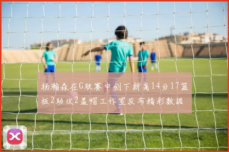 杨瀚森在G联赛中创下新高14分17篮板2助攻2盖帽工作室发布精彩数据海报